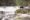 The Great Bear Rainforest