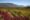Thompson Okanagan