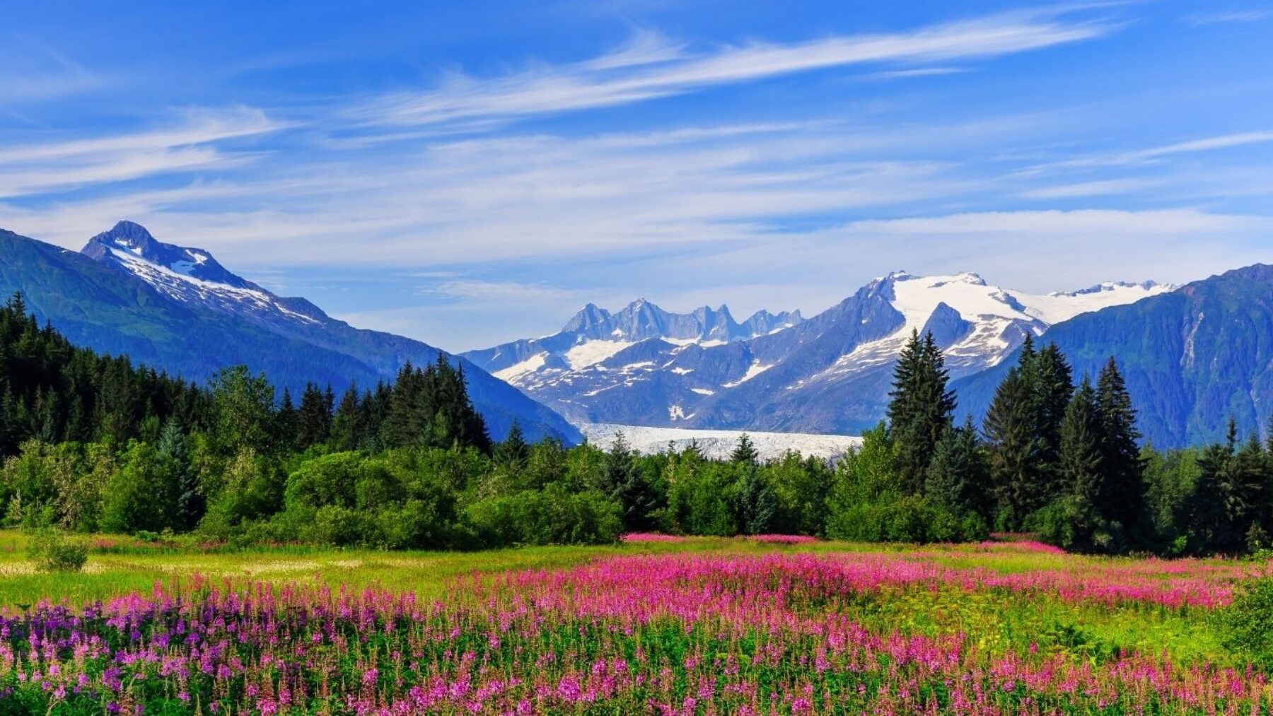 Alaska Holidays & Tours 2026/27 | Book Bespoke Travel to Alaska