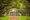 Plantation in Deep South USA