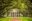 Plantation in Deep South USA
