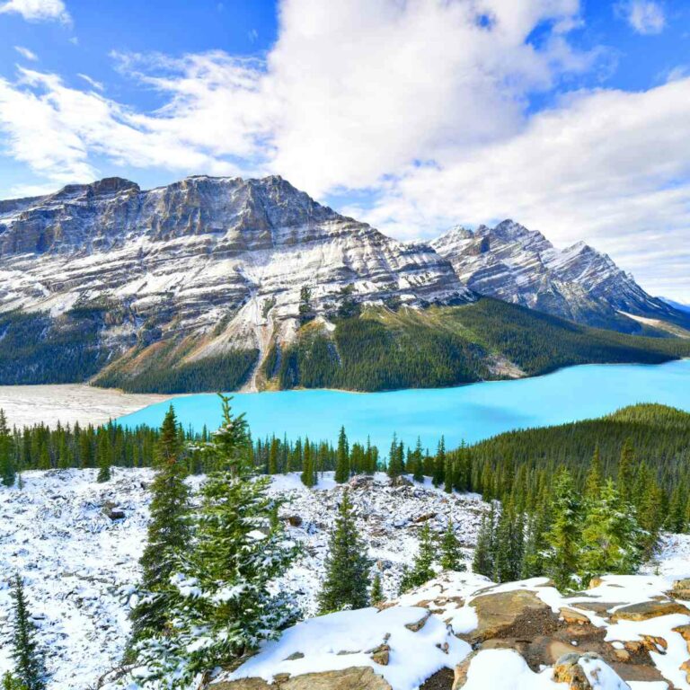 View overlooking Peyto Lake in Banff National Park