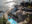 CAN_BC_Sonora Resort_Suite_Pool_Exterior