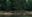 Photographing grizzlies in the Khutzeymateen Grizzly Bear Sanctuary, Northern British Columbia