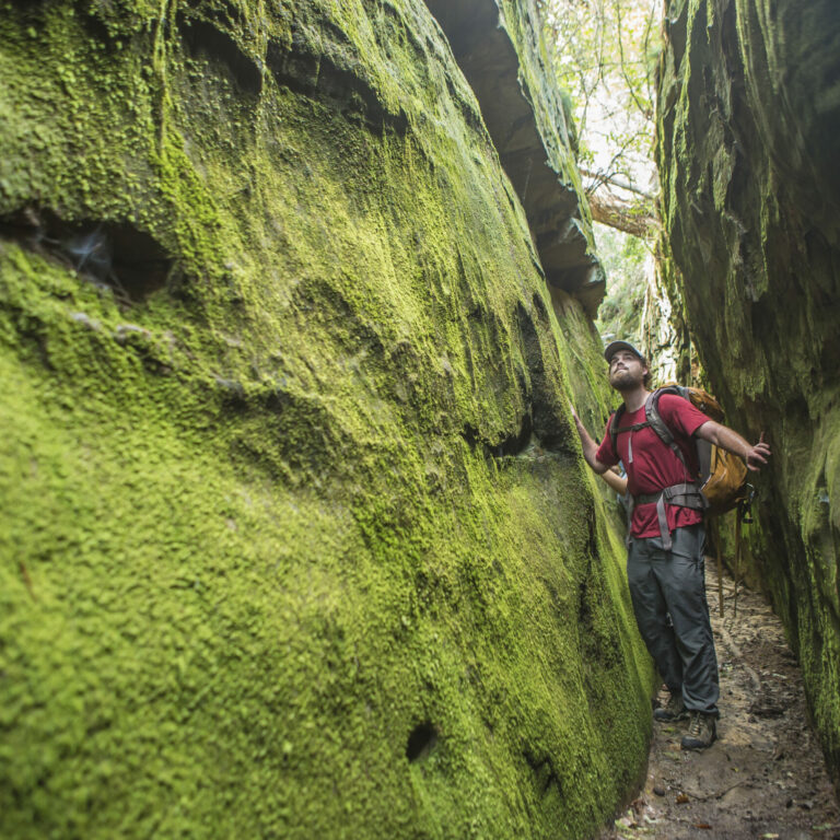A man explores nature in North Alabama
