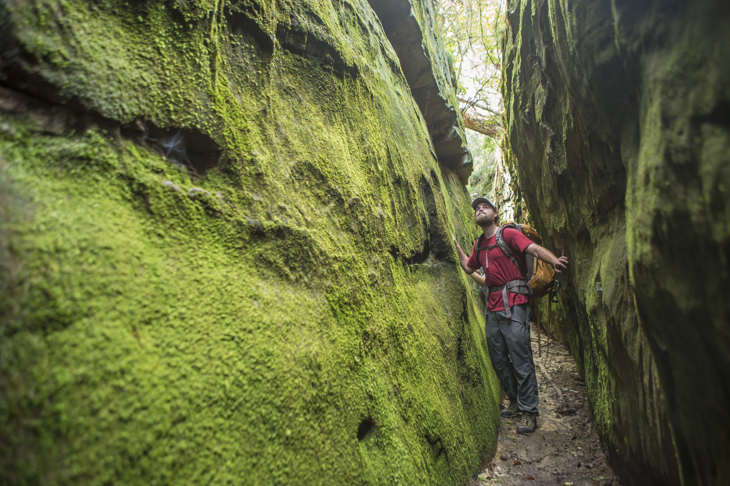 Nature Trails: 5 outdoor adventures in Alabama - Journeyscape
