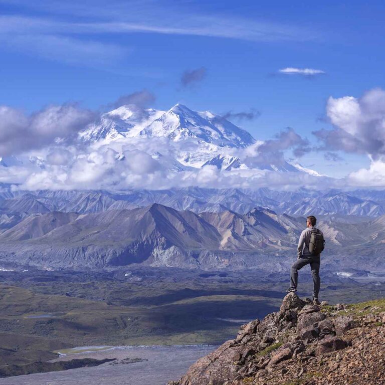View of Denali National Park