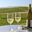 Two glasses of white wine overlooking napa valley