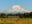 Mount Rainier
