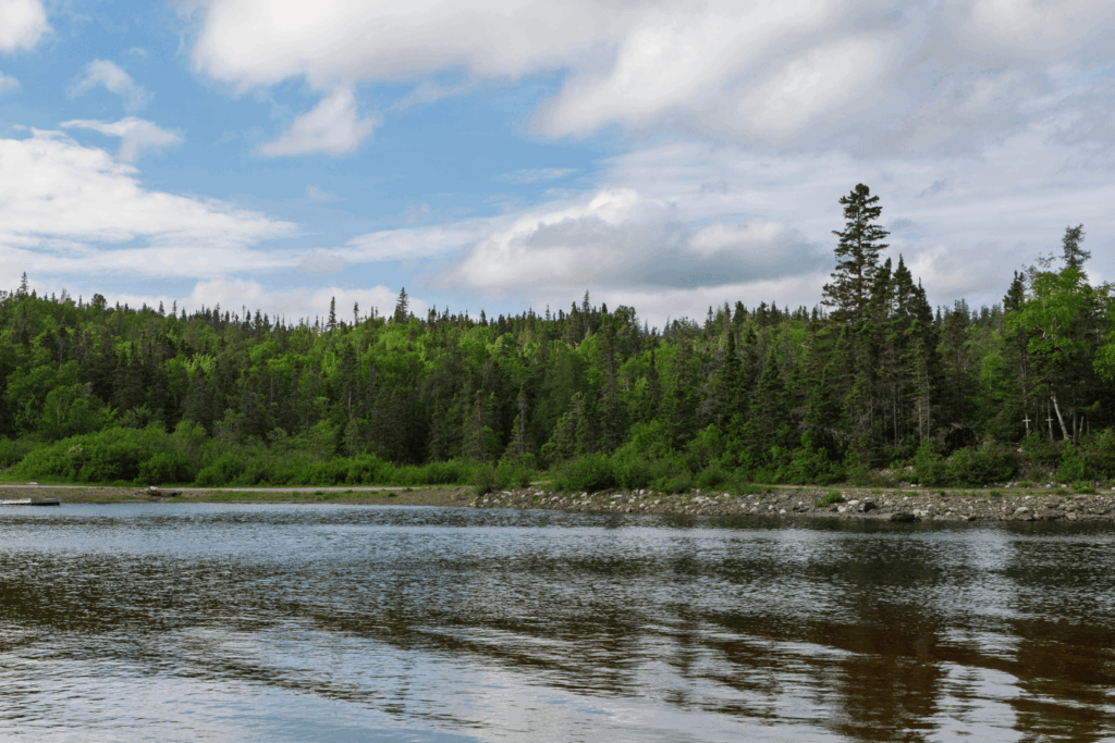 Gander Bay Newfoundland