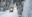 Untitled-1800-x-945-px-19 Snowmobiling in Whitehorse, Yukon