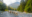 Dog sled ride in Seward, Alaska