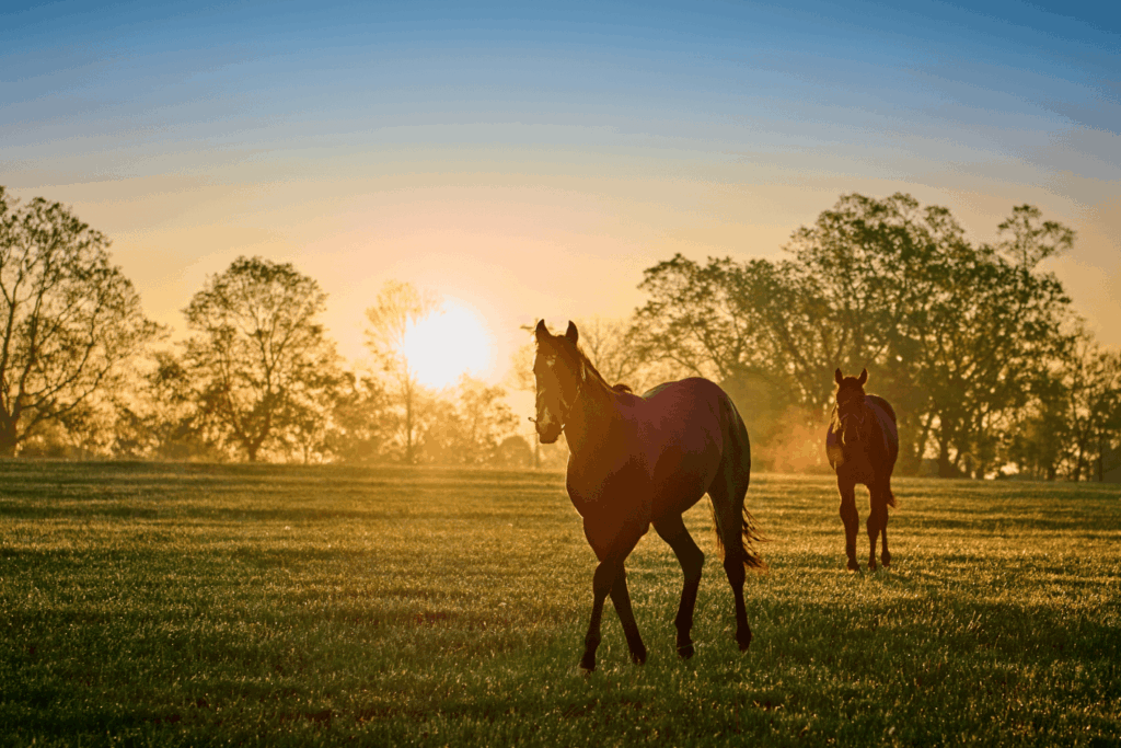 Kentucky Derby Museum in Louisville, Kentucky