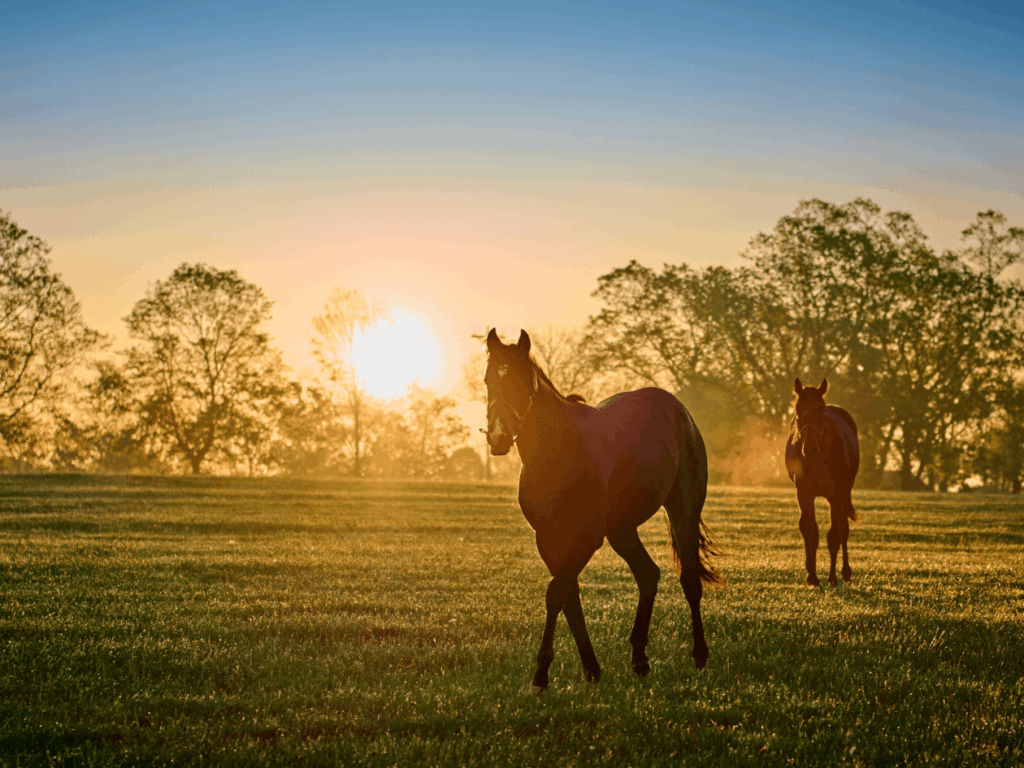 Kentucky Derby Museum in Louisville, Kentucky