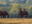 New Vocations Horse Farm in Lexington, Kentucky