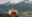 Sternwheeler Riverboat Cruise in Fairbanks, Alaska