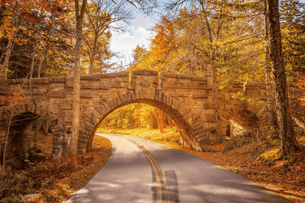 Carriage Roads in Acadia National Park