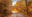 Untitled-1800-x-945-px-45 Carriage Roads in Acadia National Park
