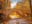Carriage Roads in Acadia National Park