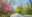 Untitled-1800-x-945-px-51 Cycling through Central Park, New York