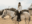 Rebecca Harley horse back riding on Mayan Dude Ranch, Bandera