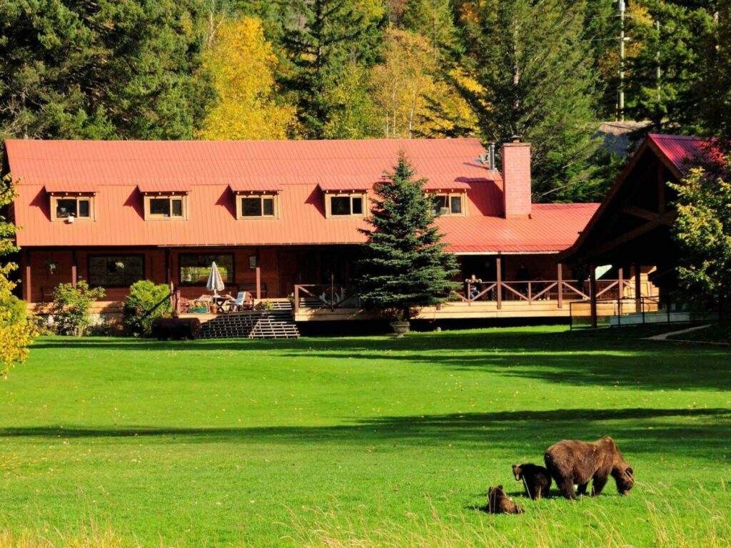 Tweedsmuir Lodge and bears
