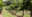 Vineyards in Long Island, New York