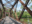 Scenic trail in Catskill, New York State