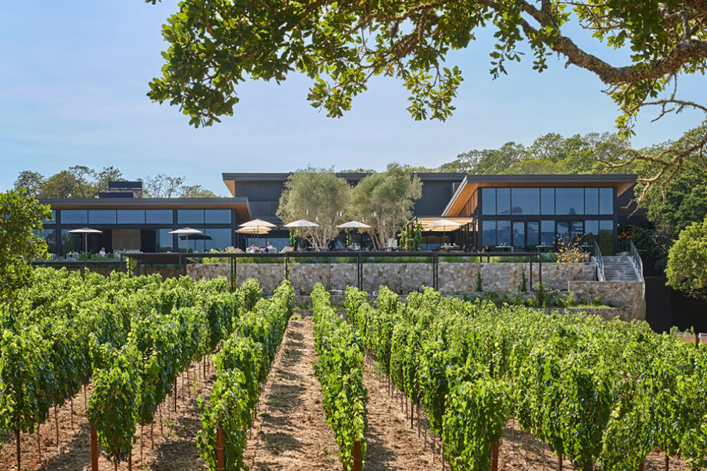 Vineyard