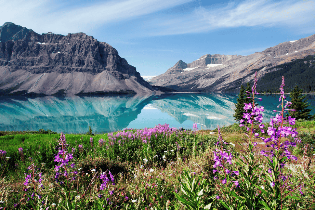 Banff National Park, Alberta, Canada
