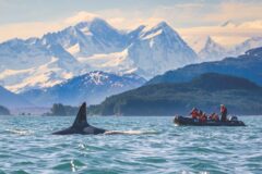 Whale watching from a small skiff in Frederik Sound in Alaska