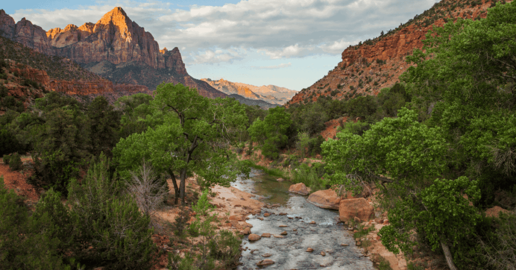 The Watchman and the Virgin River - Zion National Park