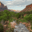 The Watchman and the Virgin River - Zion National Park