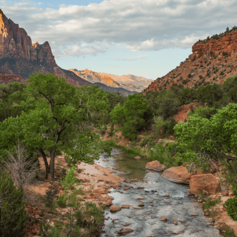 The Watchman and the Virgin River - Zion National Park