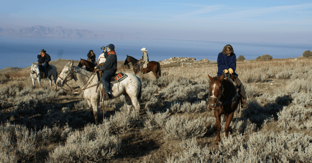 Antelope Island Utah