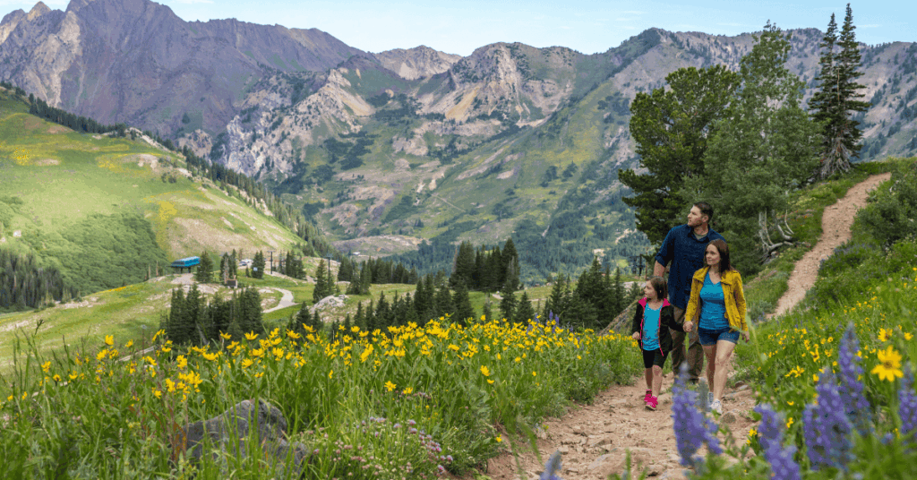 Little Cottonwood Canyon Utah