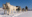 Dog-sledding in Fish Lake, Yukon Territory, Canada