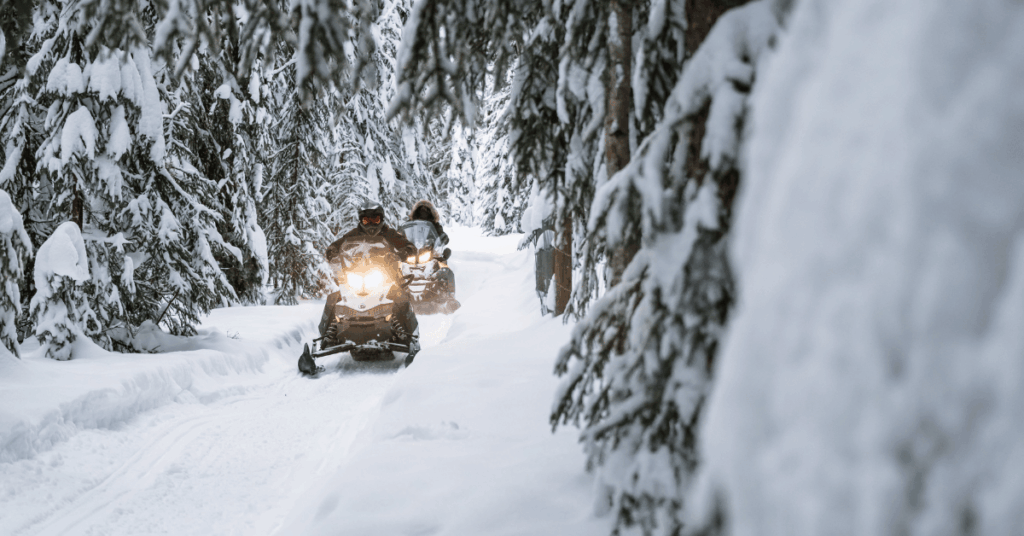 Snowmobiling through the boreal forest in Dawson City
