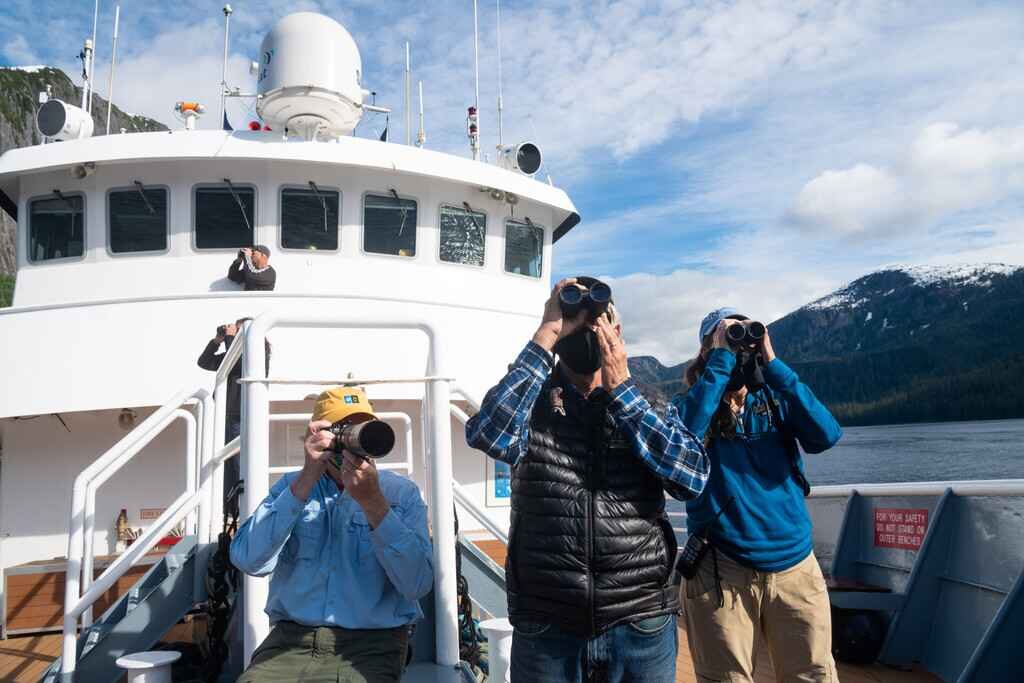 Taking photos of the wildlife from the NG Sea Lion small cruise ship in Alaska