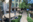 Hotel Contessa Outside Area
