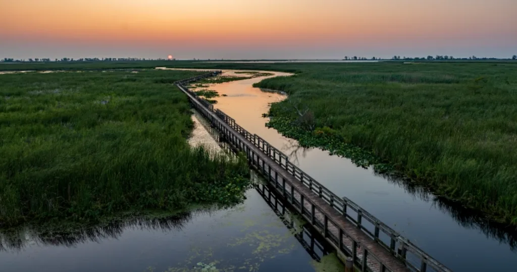 Point Pelee National Park, Ontario
