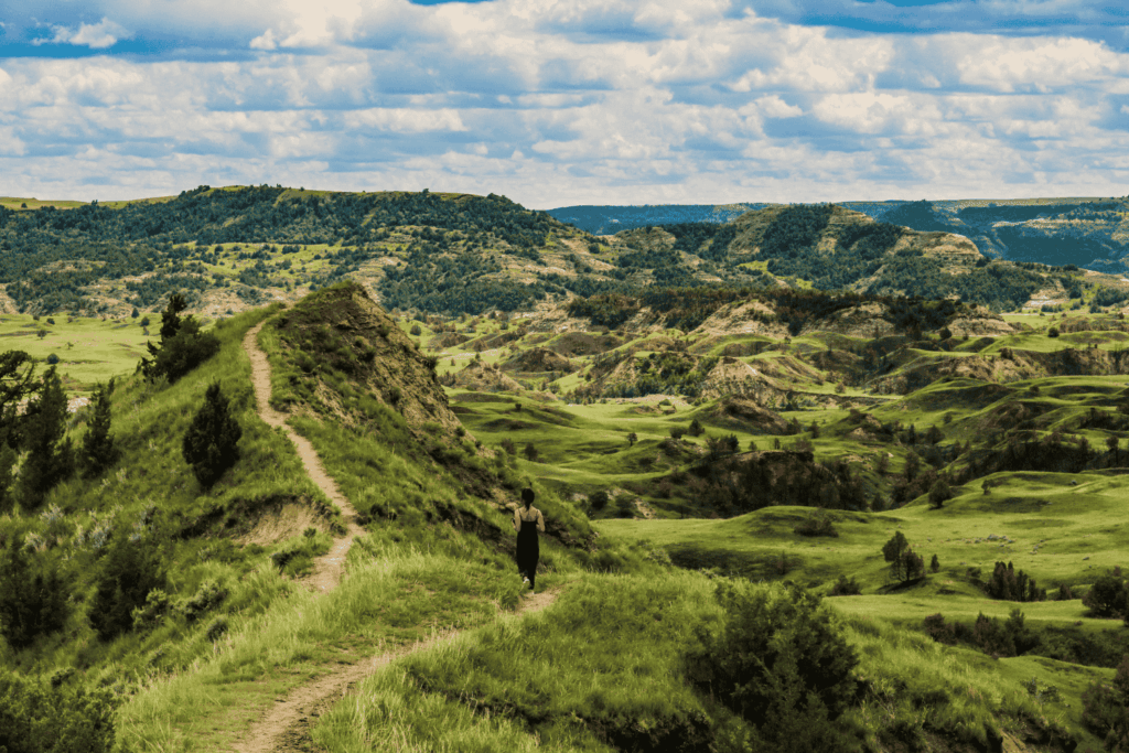 Theodore Roosevelt National Park North Dakota