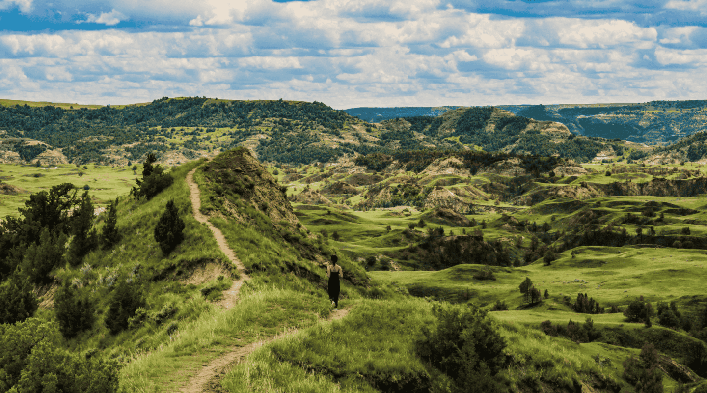 Theodore Roosevelt National Park North Dakota