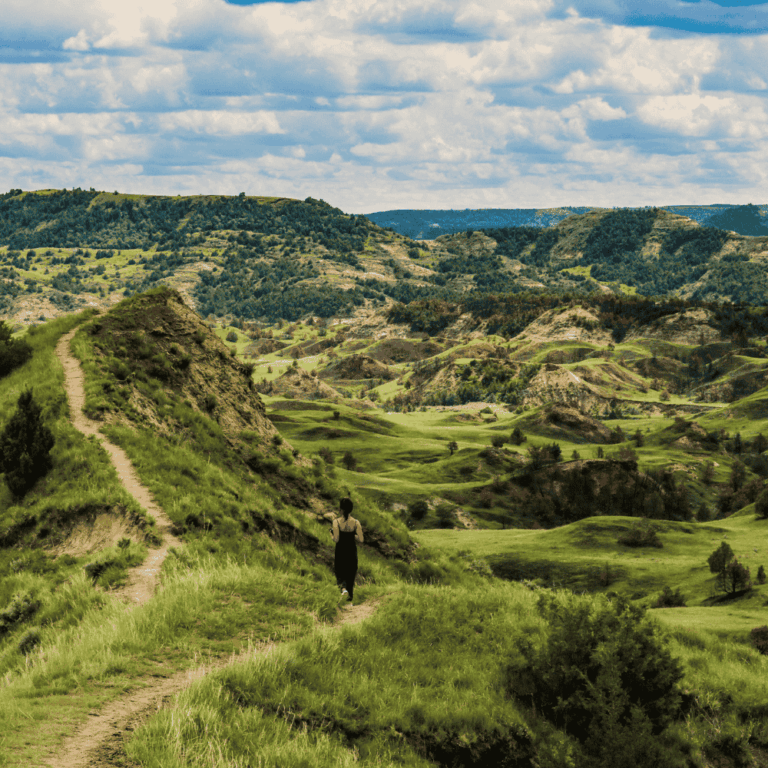 Theodore Roosevelt National Park North Dakota