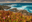 Mendocino California Ice plant blooming on bluffs over a beach at Mendocino California