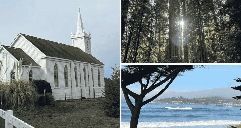 Scenic photos from California USA
