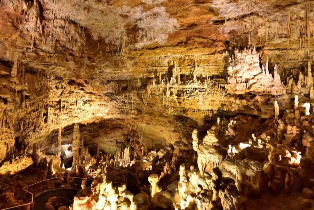 The Natural Bridge Caverns are the largest known commercial caverns in the U.S. state of Texas, still very active and considered living.