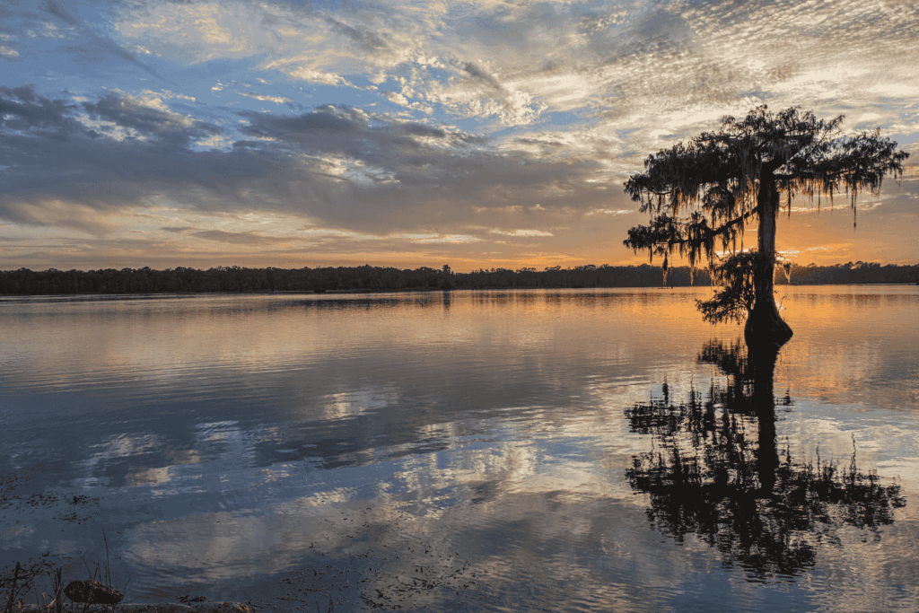 Sunset at Cypress Lake in St. Martin Parish Louisiana