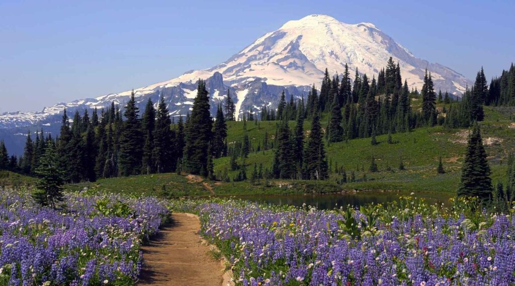 Mount Rainier, Washington State, in spring