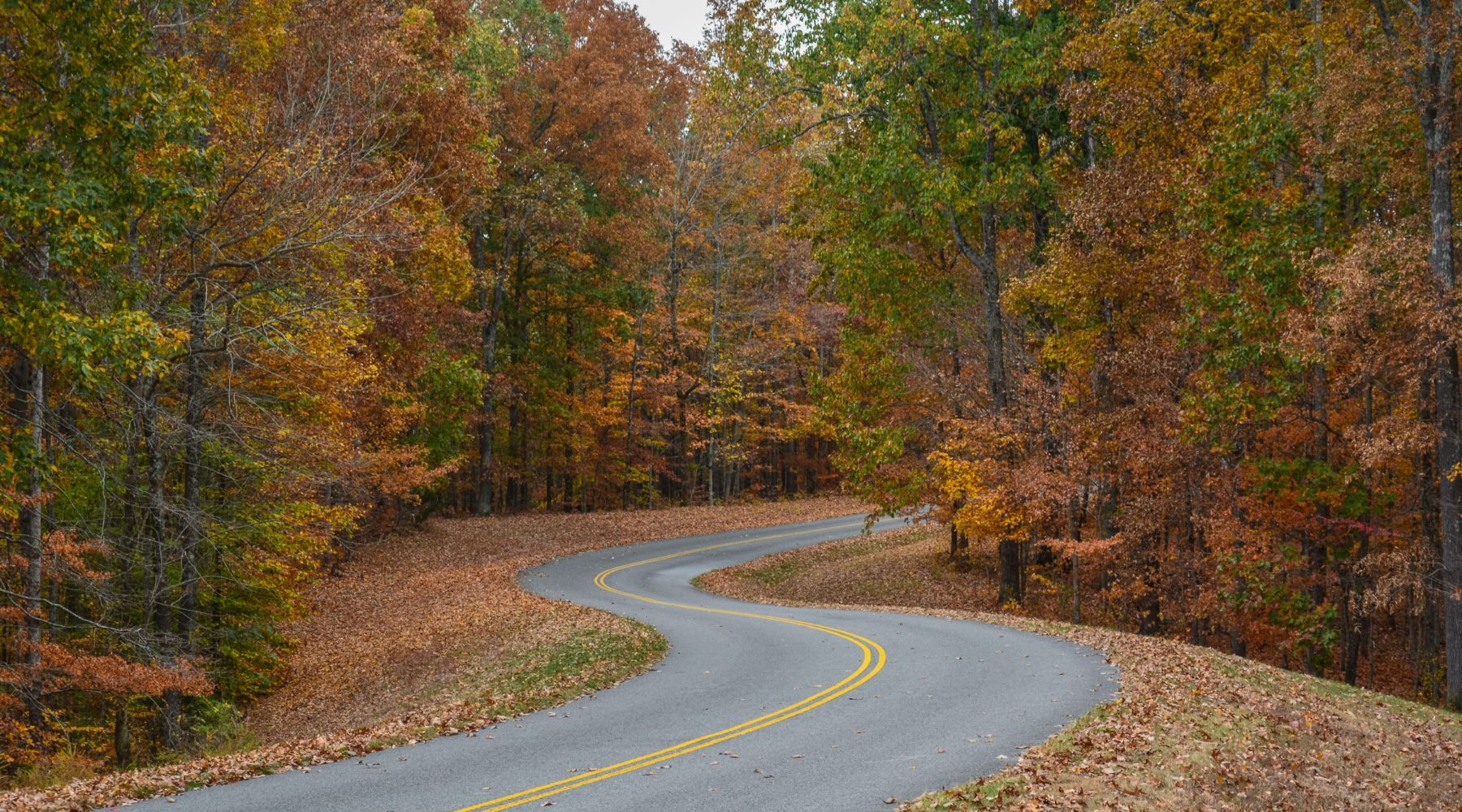 Description of image